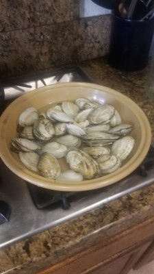 clams ready to go